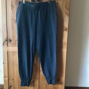 NWOT navy Patagonia Ahnya sweatpants